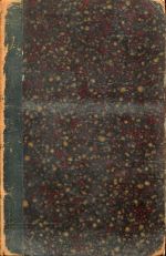 Honegger, Literatur und Cultur des neunzehnten Jahrhunderts. (Umschlag)